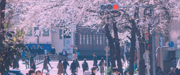 Something Fresh For Saikou !!! - Saikou Apparel